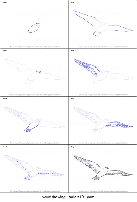 Flying Bird Drawing, Birds Drawing, Drawing Birds, Bird Sketch, Bird Drawing, Drawing Sheet, Flying Bird, Soyut Sanat Tabloları, Basic Drawing