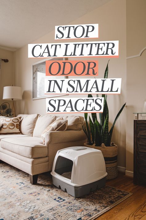 Cat Litter Smell Get Rid Of, Aesthetic Cat Litter, Cat Cleaning House, Cat Litter Smell, Cat Liter, Cat Food Station, Litter Box Smell, Best Litter Box, Litter Robot