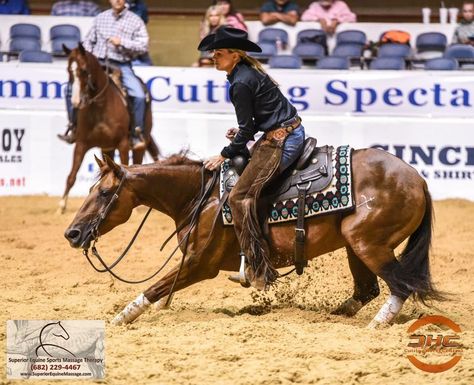 Reined Cow Horse, Horse Disciplines, Working Cow Horse, Aqha Horses, Inspirational Horse Quotes, Western Horses, Horseback Riding Outfits, Cow Horse, Reining Horses