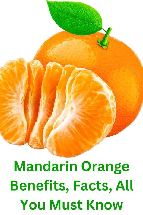 Today's article will cover all of the benefits, uses, nutritional values, and reasons why you should try it if this is your first time hearing about it. The mandarin orange is part of the citrus family, which is enriched with Vitamin C. A single mandarin can provide your body with about a third of your daily vitamin C. This fruit is simple to consume, and it has high nutritional value. Orange Health Benefits, Orange Benefits, Oranges Benefits, Beetroot Recipes, Daily Vitamin, Mandarin Oranges, Daily Vitamins, Nutritional Value, Lower Blood Pressure