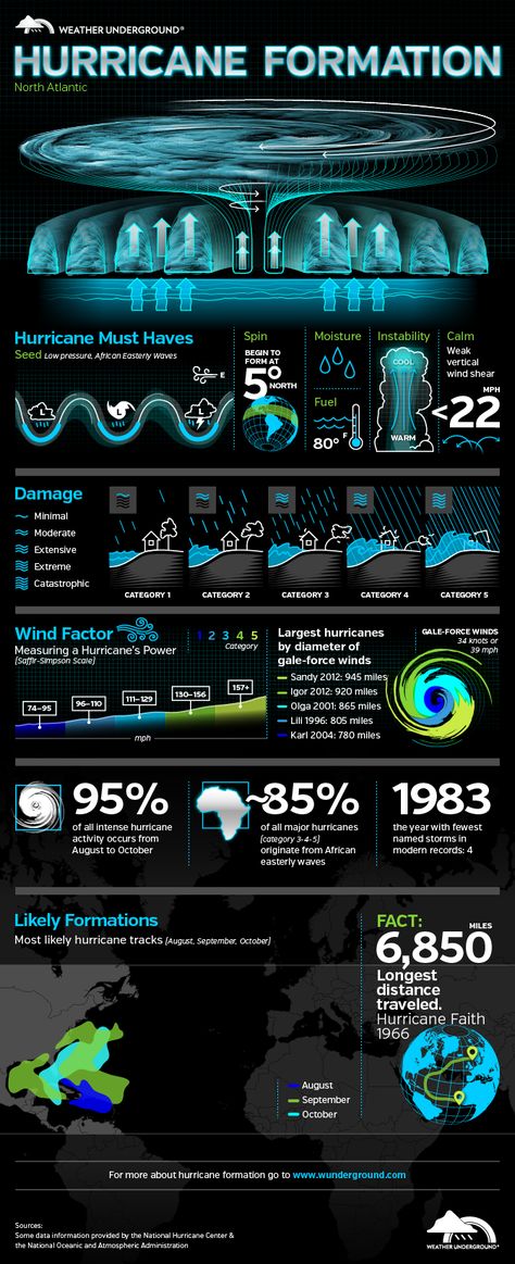 Hurricane Formation | Visual.ly Weather Science, Earth And Space Science, Weather Underground, Oceanography, Weather And Climate, Meteorology, Earth From Space, Ice Age, Science Facts