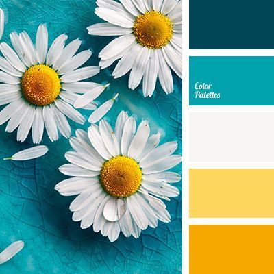 Flat Bedroom, Color Combinations Paint, Color Schemes Colour Palettes, Kitchen Colour Schemes, White Daisies, Color Palate, Design Seeds, Living Room Bathroom, Room Bathroom