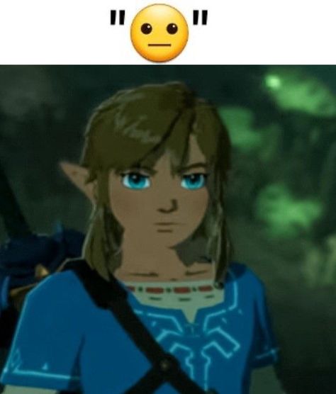 Hyrule Warriors Age Of Calamity, Link Icon, Age Of Calamity, Link Botw, Link Meme, Legend Of Zelda Characters, Zelda Funny, Hyrule Warriors, Link Zelda