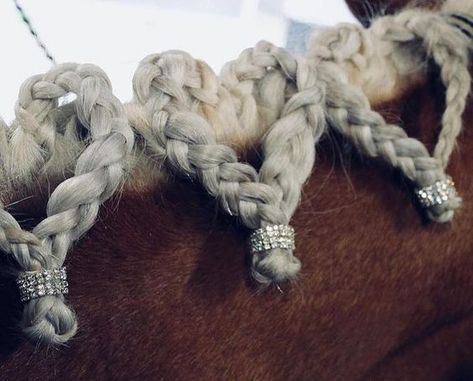 Long Mane Braids Horse, Saddles Aesthetic, Horse Forelock Styles, Braided Horse Mane, Braided Horse Tail, Tail Braids Horse, Mane Braids For Horses, Horse Braiding Ideas, Horse Braids Mane