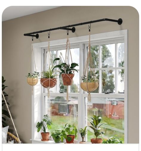 Pipe Clothes Rack, Bay Window Living Room, Vertical Wall Planters, Window Shelves, Hanging Clothes Racks, Heavy Duty Clothes Rack, Hanging Plant Wall, Vertical Planter, Indoor Window