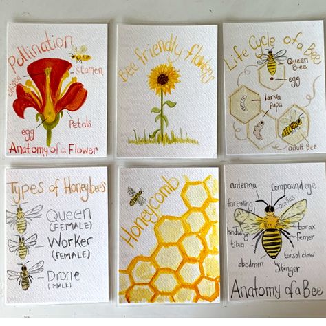 Garden Unit Study, Pollination Activity, Science Unit Studies, Bee Life Cycle, Honeybee Art, Insect Unit, Garden Unit, Bee Activities, Unit Studies Homeschool