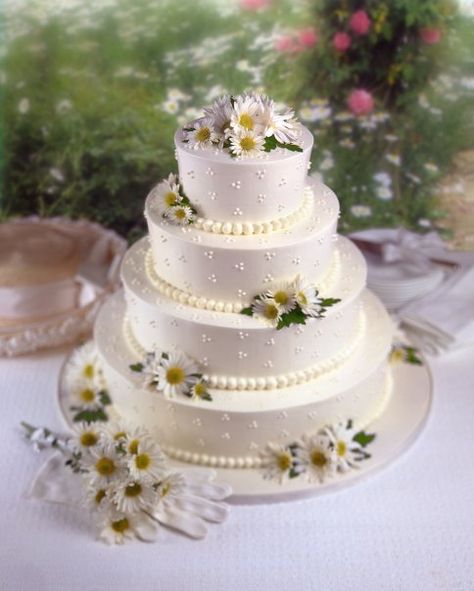 Cake Daisy Flower, Daisy Wedding Cake, Daisy Wedding Cake Ideas, Wedding Cakes With Daisy Flowers, Daisy Flower Cake Design, Daisy Anniversary Cake, Daisy Wedding Centerpieces, Wedding Cake Daisies, Daisy Wedding Theme