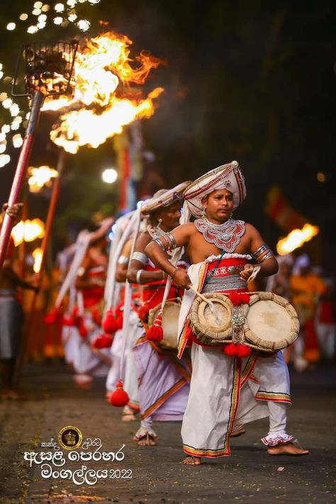 Kandy Perahara, Cool Motorcycle Helmets, Grand Entry, Crafty Decor, Moroccan Wedding, Cool Motorcycles, Kandy, Motorcycle Helmets, Sri Lanka