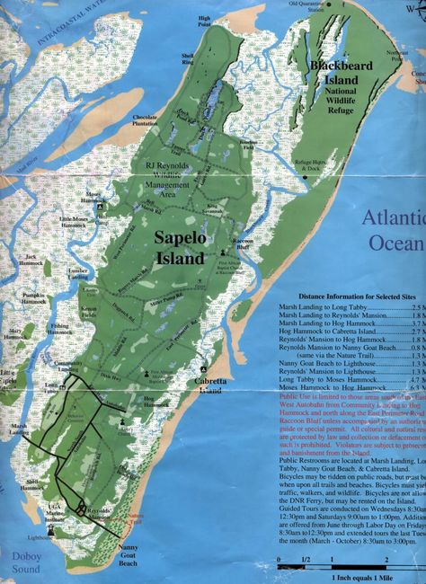 sapelo island Shem Ham Japheth Map, Sapelo Island, Southold Long Island, Henderson Beach State Park, Hammock Cove Antigua, Ossabaw Island Pigs, Georgia History, Georgia Coast, Jekyll Island