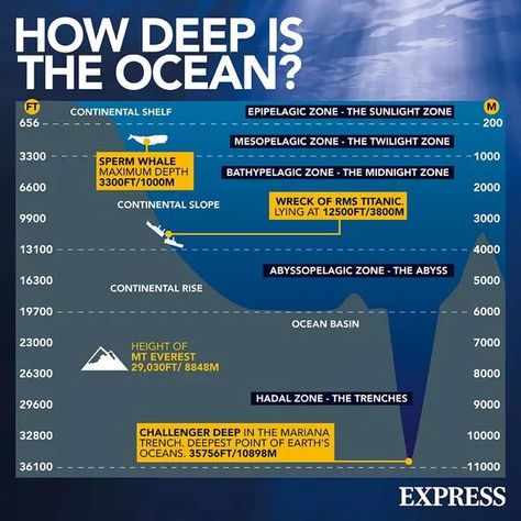 Ocean Facts, Ocean Zones, Challenger Deep, Continental Shelf, Ocean Depth, Sperm Whale, University College London, The Titanic, Rms Titanic