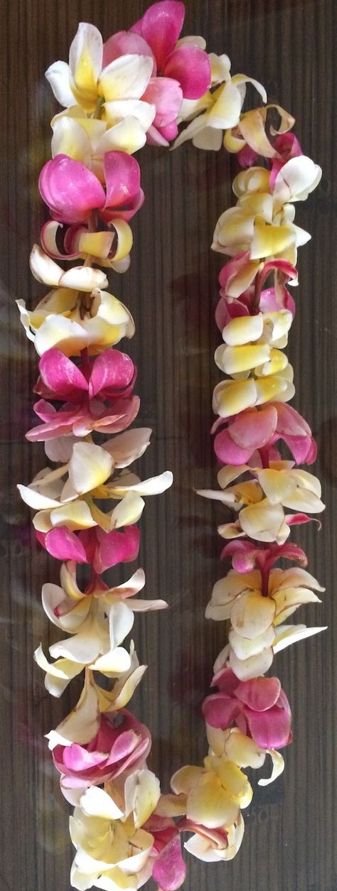 How to Store a Lei Fresh Flower Lei Diy, Flower Lei Diy, Fresh Flower Lei, Orchid Lei, Lei Making, Flower Lei, Hawaiian Lei, Plumeria Flowers, Diy Things