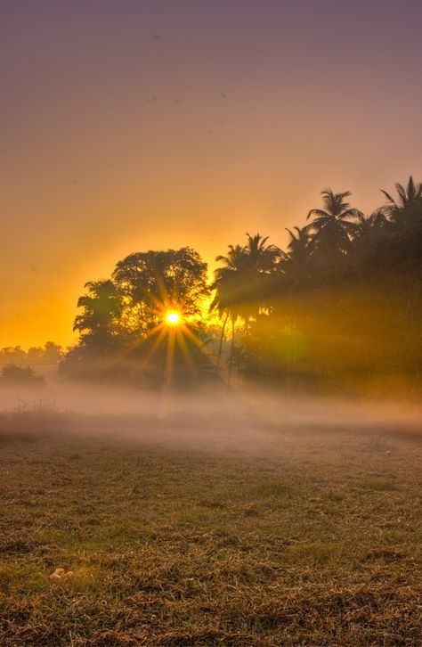 My First Vlog, Blur Image Background, Nature Background Images, Blur Background Photography, Beach Background Images, Blur Photo Background, Blur Background In Photoshop, Background Images For Editing, Sunset Background