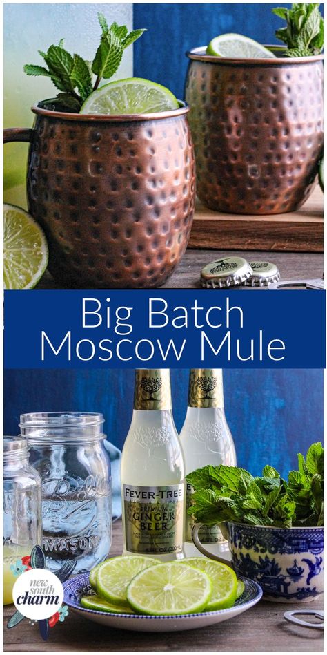 Big Batch Moscow Mules are the perfect cocktail to serve at your next party of tailgate. This recipe makes 6-8 delicious and refreshing mules. Batch Moscow Mule, Citrus Cocktail, Frozen Drink Recipes, Champagne Recipes Cocktails, Frozen Cocktail Recipes, Moscow Mules, Moscow Mule Recipe, Mule Cocktail, Citrus Cocktails