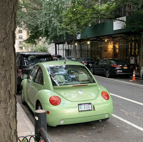 Green Volkswagen Beetle, Seven Husbands Of Evelyn Hugo, Taylor Jenkins Reid, Green Beetle, Bug Car, Southern Maine, Evelyn Hugo, Volkswagen New Beetle, Car Deco