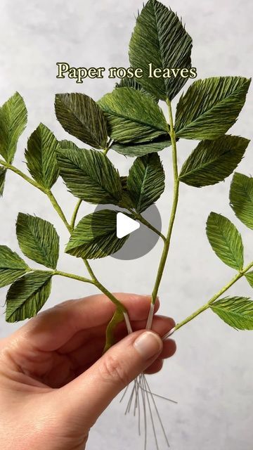 Susan Beech | A Petal Unfolds on Instagram: "Having some fun putting together these rose leaves today, lots more to make and more details to be added too. 🌿 I love the process but sometimes do wish they could be made this quickly ☺️✂️ #createmakeshare #makersmovement #crepepaper #paperflowersuk #botanicalartist" Crepe Paper Leaves, Crepe Flowers, Love The Process, Surprise Ball, Paper Stuff, Paper Leaves, Small Stuff, Rose Leaves, Handmade Flower