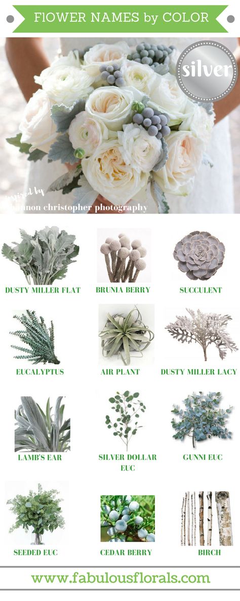 Embedded Wedding Flower Trends, Flower Guide, Diy Wedding Flowers, Grey Flowers, Flower Names, Nontraditional Wedding, Gray Weddings, Deco Floral, Seasonal Flowers