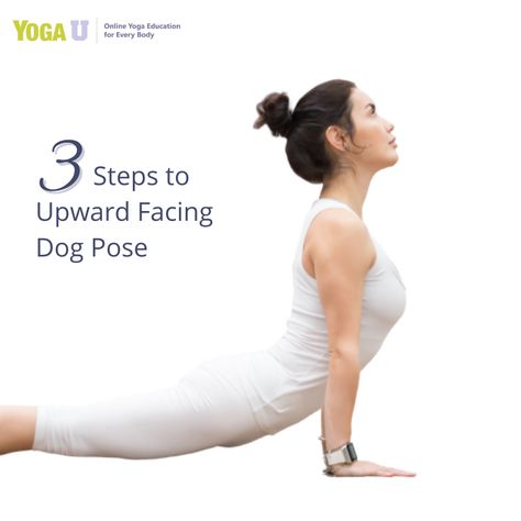 Yoga teacher Bridget Frederick shares 3 tips to help demystify Upward-Facing Dog Pose. In this article, learn several Up Dog variations including how to use props to improve the experience, accessibility and enjoyment of this often glossed-over pose. #yogapractice #yogatips #yogainspo #yogapose #upwardfacingdogpose #yoga #yogainspiration #yogalove #yogalife #yogagirl #yogachallenge #yogadaily #namaste #yogini #yogaaddict #asana Upward Dog Yoga Pose, Up Dog Yoga Pose, Upward Facing Dog Pose, Upward Dog, Yoga Education, Upward Facing Dog, Plank Pose, Yoga Inspo, Downward Facing Dog