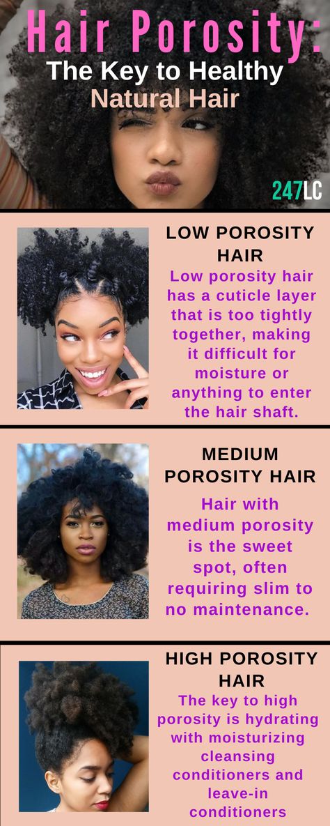 Understanding your porosity level is essential in understanding what products to use! Here are some tips to maintaining healthy natural hair!  #naturalhairtips #naturalhaircare #hairporosity #naturalhairproducts 4c Natural Hair Care Products, Prepoo For High Porosity Hair, How To Maintain 4c Natural Hair, Low Density Natural Hair, High Porosity Hair Tips, High Porosity Hair Products, High Porosity Hair Regimen, 4c Natural Hair Care, Low Porosity Natural Hair