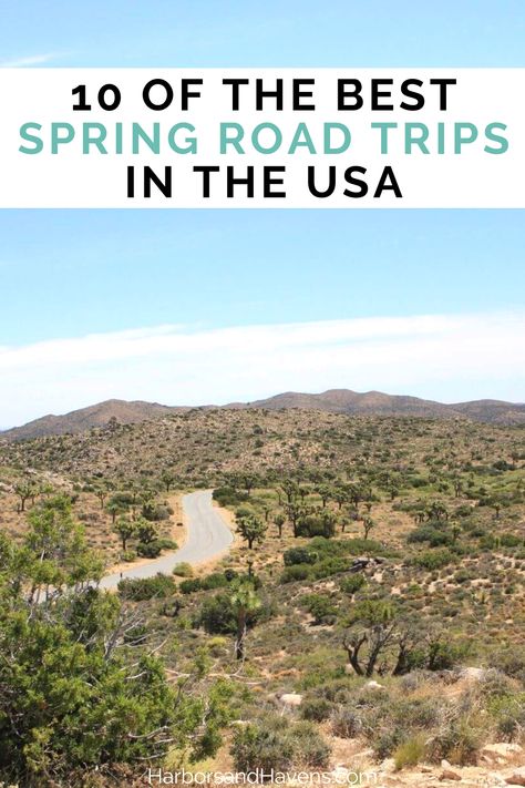 10 of the Best Spring Road Trips in the USA This Year — Harbors & Havens Spring Travel Destinations, Beautiful Places In Usa, Road Trip Ideas, Trip Destinations, East Coast Road Trip, Perfect Road Trip, Visit Usa, Road Trip Destinations, Us Road Trip