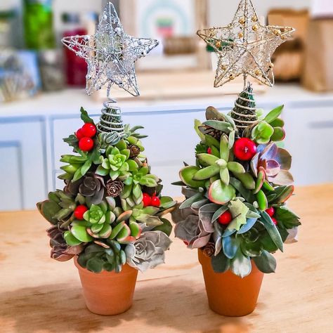 Mini Succulent Christmas Tree Succulent Christmas Tree, Purple Christmas Tree Decorations, Christmas Tree Care, Christmas Plants Gifts, Succulent Christmas, Outdoor Christmas Planters, African Christmas, Vintage Christmas Tree Decorations, Succulent Tree