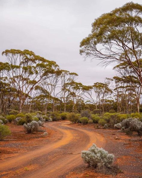 Kalgoorlie Western Australia, Western Australia Aesthetic, Reflections Artwork, Australian Landscapes, Beautiful Australia, Australia Landscape, Aesthetic Places, Australian Bush, Great Western