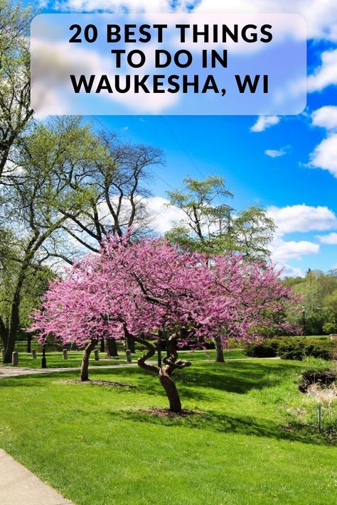 Discover the 20 best things to do in Waukesha, WI. Including Fox River Park, Waukesha County Historical Society & Museum, Retzer Nature Center and more. Waukesha Wisconsin, Spring City, Wine House, Adventure Bucket List, River Park, Trampoline Park, Before Sunrise, Nature Center, Spring Water