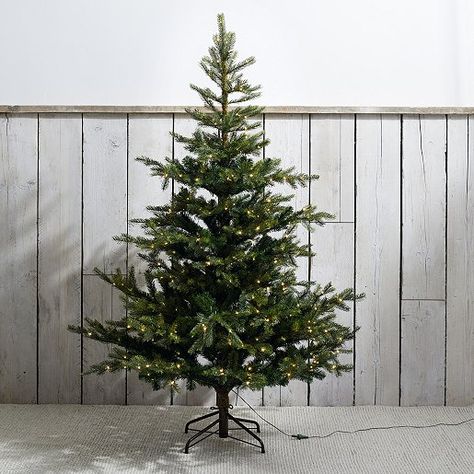 Luxury Artificial Christmas Trees | The White Company UK Wicker Tree Skirt, Lit Christmas Tree, 6ft Christmas Tree, Spruce Christmas Tree, Christmas Tree Collection, Artificial Christmas Trees, Pre Lit Christmas Tree, Artificial Foliage, White Christmas Decor