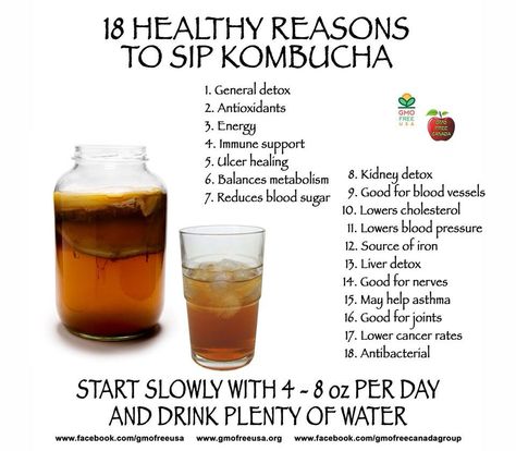 Kombucha tea Autogenic Training, Good Gut Health, Kombucha Benefits, Kombucha Scoby, Kombucha Recipe, Homemade Kombucha, Kidney Detox, Health Cleanse, Homemade Detox