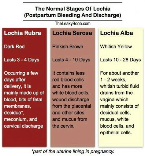 Stages of Lochia: postpartum bleeding Obstetrics Nursing, Newborn Nursing, Midwifery Student, Postpartum Nursing, Child Nursing, Student Midwife, Nursing Mnemonics, Mother Baby Nurse, Ob Nursing