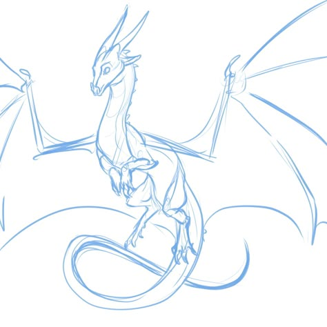 Dragon Poses, Dragon Anatomy, Dragon Base, Here Be Dragons, Tattoo Back, Wings Of Fire Dragons, Dragon Sketch, Creature Drawings, Wings Of Fire