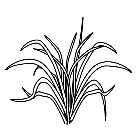 Picture Of Grass Coloring Pages : Color Luna Grass Coloring, Grass Drawing, Pig Cartoon, Stained Glass Patterns, Coloring Pictures, Bold Prints, Print Pictures, Coloring Page, Coloring Pages