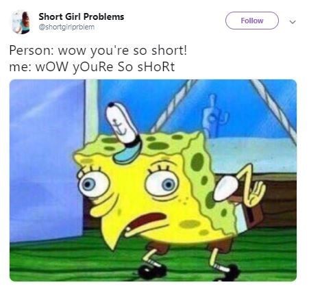 15 Short-Girl Memes That Are Depressingly Relatable - Memebase - Funny Memes Spongebob Chicken Meme, Mocking Spongebob, Meme Spongebob, Be More Chill, Hamilton Musical, Dear Evan Hansen, Alexander Hamilton, Spongebob Memes, Reaction Pics