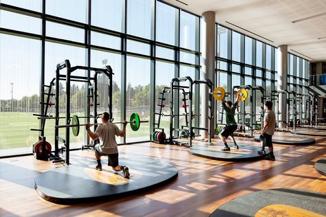 Gallery of University of Oregon Hatfield-Dowlin Complex / ZGF Architects - 8 Sports Training Facility, College Workout, Dream Gym, Oregon Football, Gym Design Interior, Gym Interior, Gym Room, Outdoor Gym, University Of Oregon