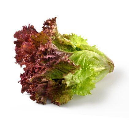 Red Lettuce Salad, Calorie Free Foods, Chicken Caesar Sandwich, Red Lettuce, Feta Pasta Salad, Lettuce Recipes, Red Leaf Lettuce, Leaf Lettuce, Feta Cheese Salad