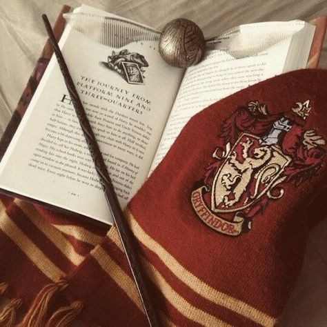 Gryffindor Pride, Gryffindor Aesthetic, Harry Potter Wall, Harry Potter Book, Lily Potter, Buku Harry Potter, Theme Tattoo, Harry Potter Images, Images Harry Potter