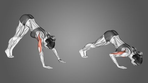 Pike Push-Ups: Benefits, Muscles Worked, and More Build Shoulders, Handstand Push Up, Pectoral Muscles, Push Up Workout, Compound Exercises, Calisthenics Workout, Push Ups, Core Muscles, The Resistance