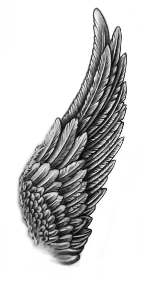 Large Wing Tattoo, Tattoo Wade, Wing Tattoo Arm, Arm Wings, Wing Tattoo Men, Wing Tattoo Designs, Cool Forearm Tattoos, Angel Wings Tattoo, Wing Tattoo