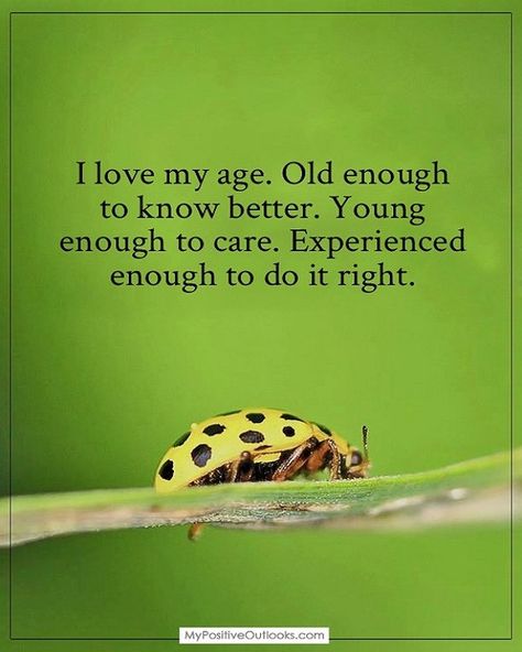 My Positive Outlooks’s Instagram profile post: “I love my age. #mypositiveoutlooks #positiveoutlook #quotes #instaquote” School Leadership Quotes, Thankful To God, Leadership Motivation, Aging Quotes, Afrikaans Quotes, Thought Provoking Quotes, Wealth Affirmations, Daily Positive Affirmations, School Quotes