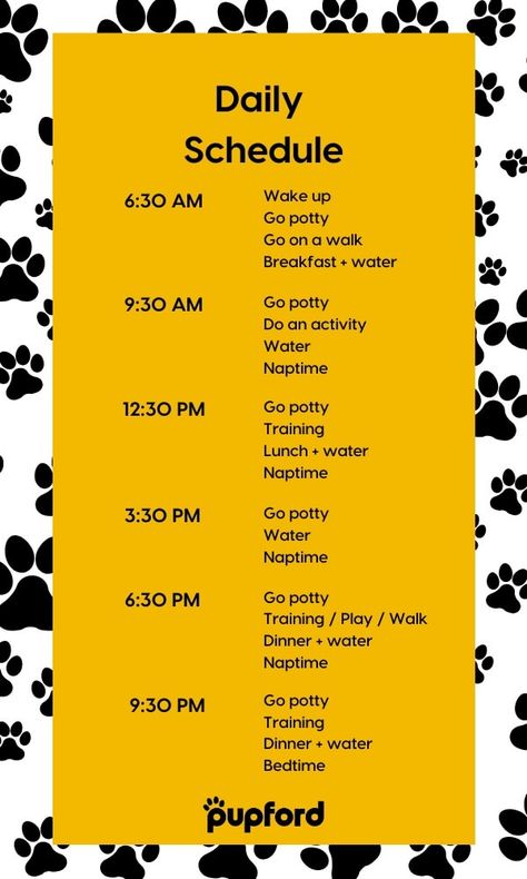 Dog Training Schedule Printable, Dog Boarding Schedule, Dog Socialization Checklist, Dog Routine Schedules, Dog Schedule Daily, Service Dog Training Checklist, Dog Training Schedule, Dog Daycare Ideas, Dog Schedule