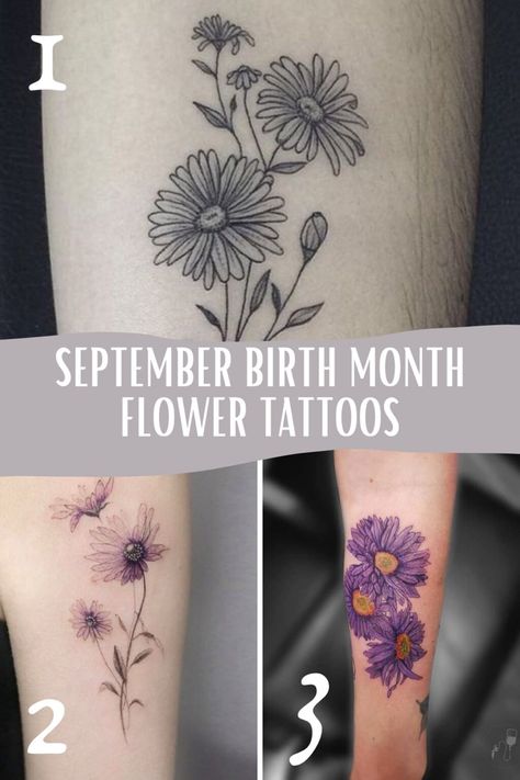 September Birth Flower Tattoo Ideas {The Aster} - Tattoo Glee Tattoo Ideas Flower Birth Month September, September Birth Month Tattoo, Asters Flower Tattoo, Birth Flower Tattoos September, September Flower Tattoo Birth Month, September Birth Flower Tattoo Ideas, Aster Flower Tattoo Design, Birthflower September Tattoo, Small Aster Flower Tattoo