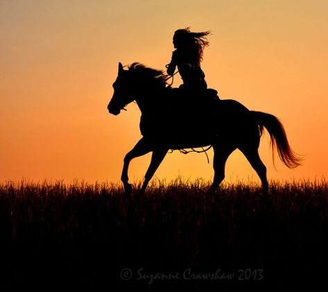 Cool Background Designs, Horse Background, Foto Cowgirl, Cute Horse Pictures, Horse Galloping, Horse Wallpaper, Horse Aesthetic, Horse Silhouette, Canvas Painting Tutorials