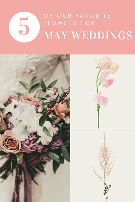 We're sharing our 5 favorite flowers to use in May Weddings and Events. using in season blooms gives your wedding a cohesive look and can help maximize your wedding flower budget May Flowers In Season, May Wedding Flowers In Season, Flowers In Season, Budget Wedding Flowers, May Wedding, Spring Color Palette, Flower Inspiration, Dusty Miller, May Weddings