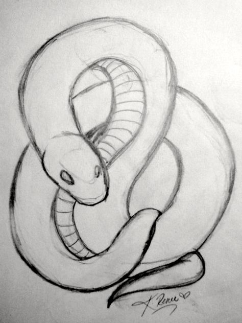 Snake tattoo design. Snake Sketch, Snake Drawing, Arte Doodle, Snake Tattoo Design, Indie Drawings, Snake Art, Drawing Faces, Book Drawing, Snake Tattoo