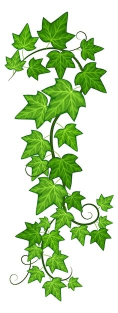 Creepers Plants, Ivy Vine, Vine Leaves, Climbing Vines, Wooden Cutouts, Ivy Leaf, Plant Drawing, Design Tools, Climbing Plants