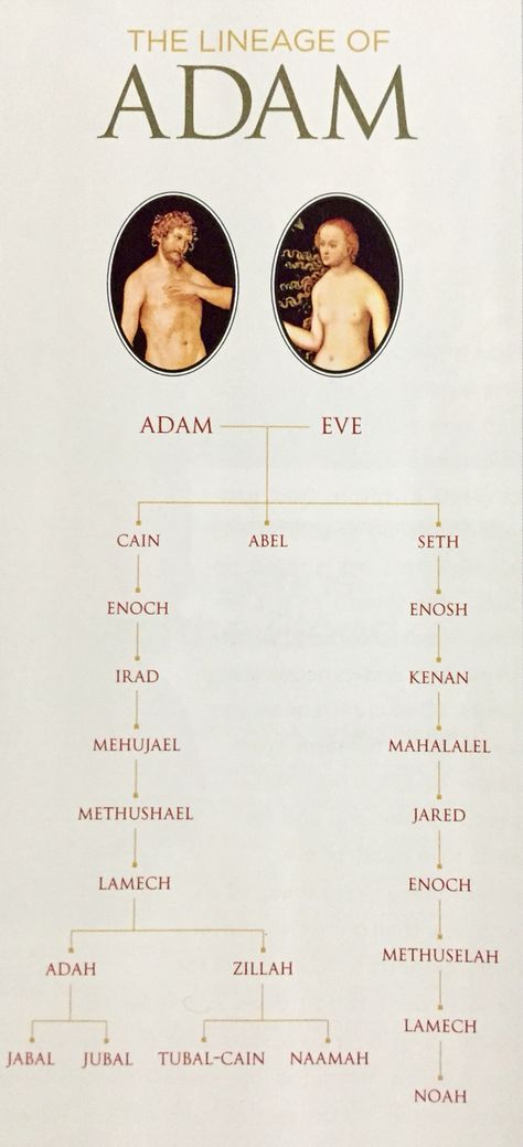 Lineage of Adam Adam Bible, Biblical Genealogy, Lineage Of Jesus, Bible Genealogy, Bible Project, God's Daughter, Study Topics, Lds Living, John Milton