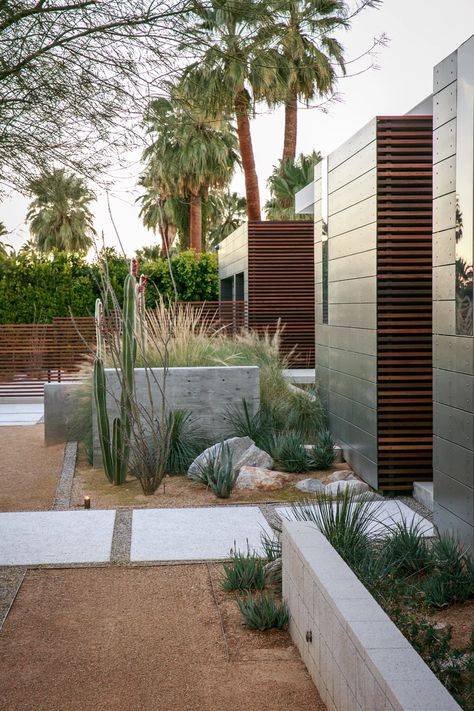 Mid Century Modern Landscape Front Yard, Midcentury Modern Landscaping, Midcentury Landscaping, Palm Springs Backyard, Mid Century Modern Landscaping, Palm Springs Landscaping, Desert Landscape Front Yard, Palm Springs Garden, Desert Landscaping Backyard