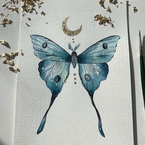 Lunar Moth Tattoo, Moth Watercolor, Butterfly Watercolor Painting, Moth Artwork, Painting Clipart, Blue Moth, Moth Drawing, Cute Moth, Butterfly Art Painting