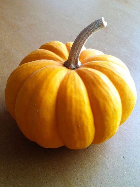 My Pumpkin Oatmeal is a deliciously satisfying and nutritious breakfast that tastes like dessert! This recipe will make a lot and stay fresh in the refrigerator for several days. Each morning, simply scoop out a portion to reheat! Pumpkin Reference, Farm Market Ideas, Morning Oats, Still Life Pictures, Pumpkin Drawing, Bird Watercolor Paintings, Pumpkin Photos, Pumpkin Oatmeal, Still Life Fruit