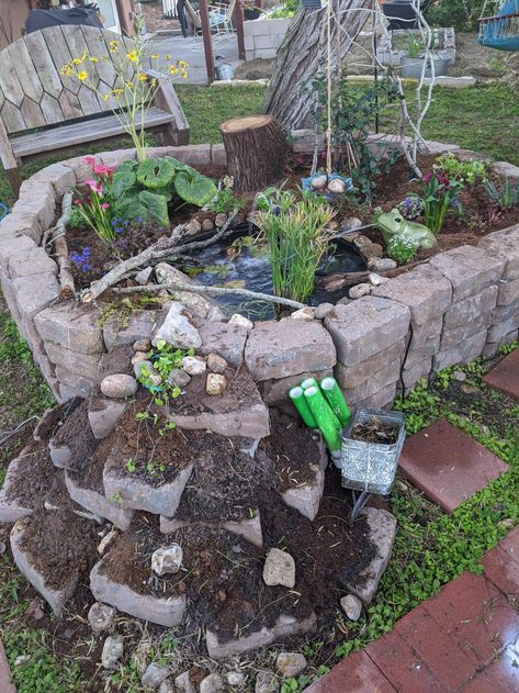 Frog Pond Diy, Frog Homes In Garden, Small Frog Pond, Diy Frog Pond, Sink Pond, Wildlife Backyard, Wildlife Garden Ideas, Homeschool Garden, Pond Diy