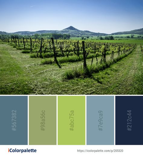 Color Palette ideas from 3434 Grass Images | iColorpalette Golf Course Color Palette, Grass Green Color Palette, Agriculture Color Palette, Color Dictionary, Grass Images, Soothing Paint Colors, Colour Dictionary, Italy Countryside, Logo Color Schemes